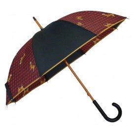 parapluie resistant